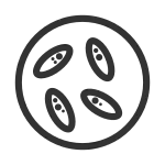 Malaria Pf Microscope SVG Icon